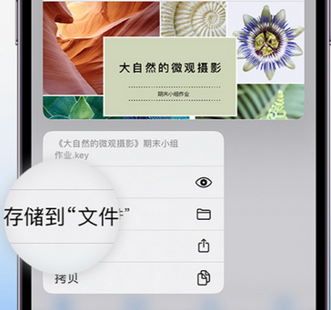 西青apple维修中心分享iPhone文件应用中存储和找到下载文件