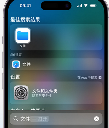 西青apple维修中心分享iPhone文件应用中存储和找到下载文件 