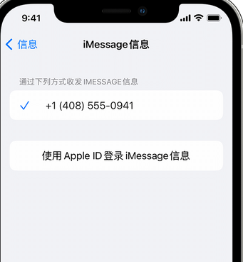 西青apple维修iPhone上无法正常发送iMessage信息 