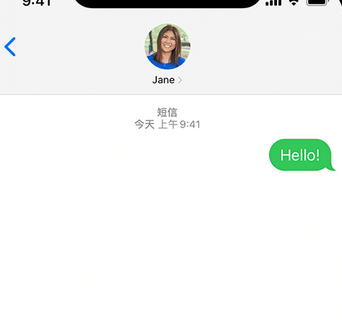 西青apple维修iPhone上无法正常发送iMessage信息