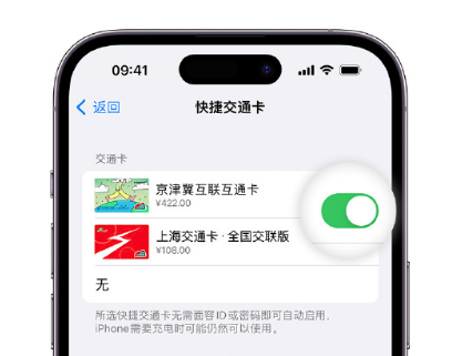 西青apple维修点分享iPhone上更换Apple Pay快捷交通卡手绘卡面 