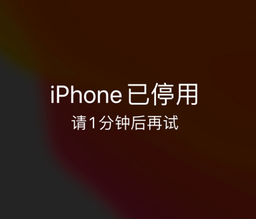 西青苹果手机维修分享:iPhone 显示“不可用”或“已停用”怎么办？还能保留数据吗？ 