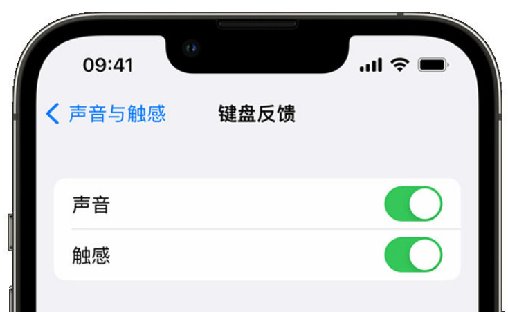 西青苹果手机维修分享iPhone 14触感键盘使用方法 