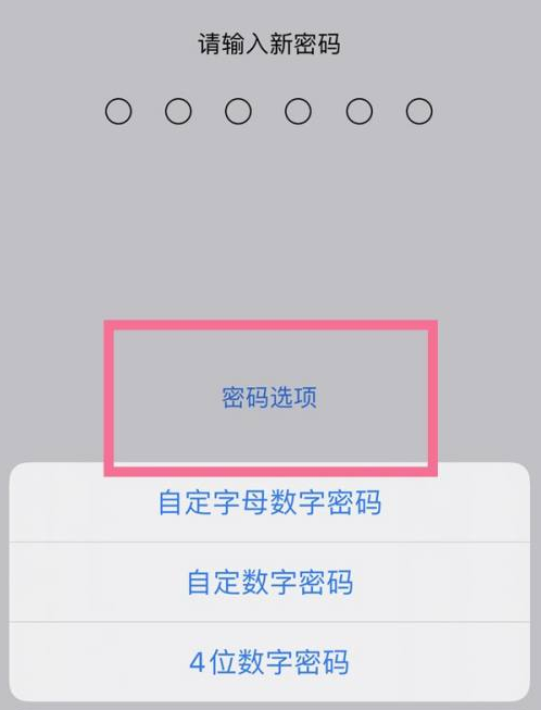 西青苹果14维修分享iPhone 14plus设置密码的方法 