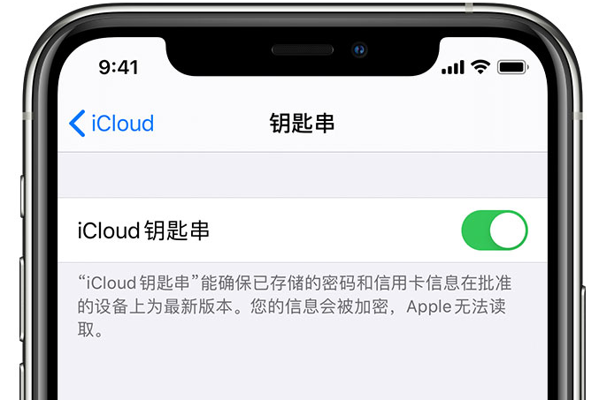 西青苹果手机维修分享在 iPhone 上开启 iCloud 钥匙串之后会储存哪些信息 