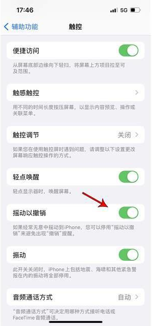 西青苹果手机维修分享iPhone手机如何设置摇一摇删除文字 